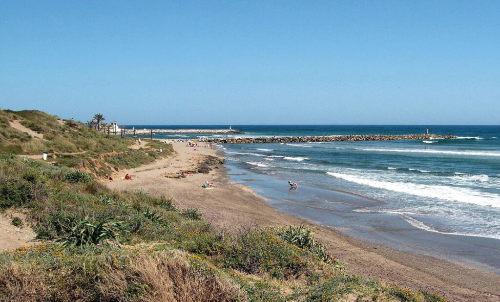 Dunes de la plage de Cabopino à Marbella