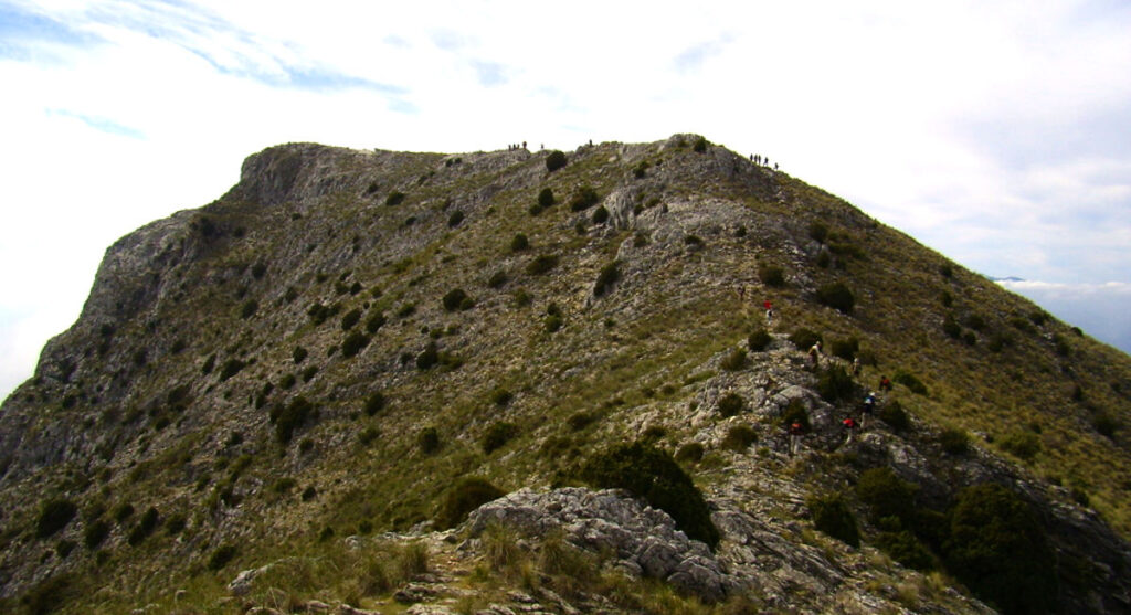 Randonnée dans la Sierra Blanca