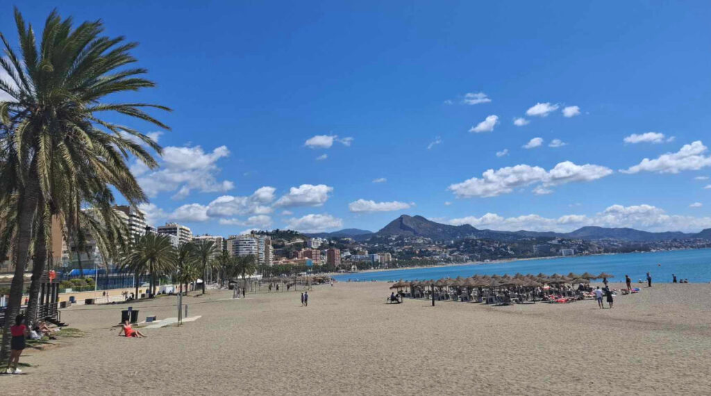 Transats et parasols sur la plage de la Malagueta