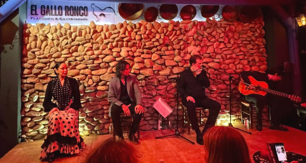 Restaurant avec spectacle de flamenco à Malaga