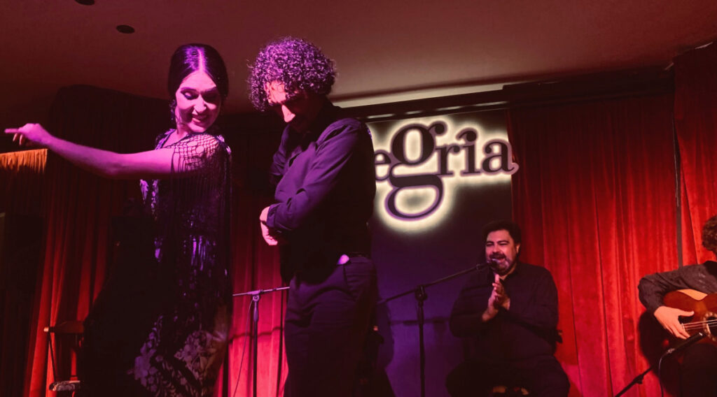 Danseurs de flamenco à Malaga