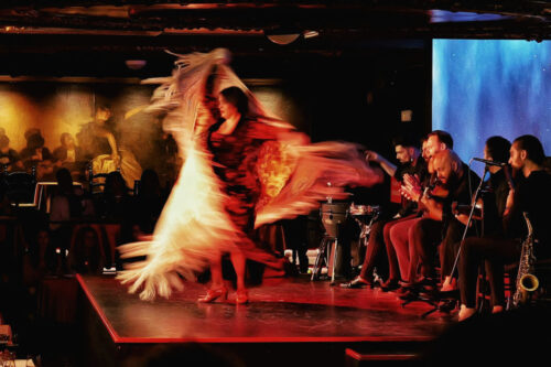 Spectacle de flamenco à Malaga